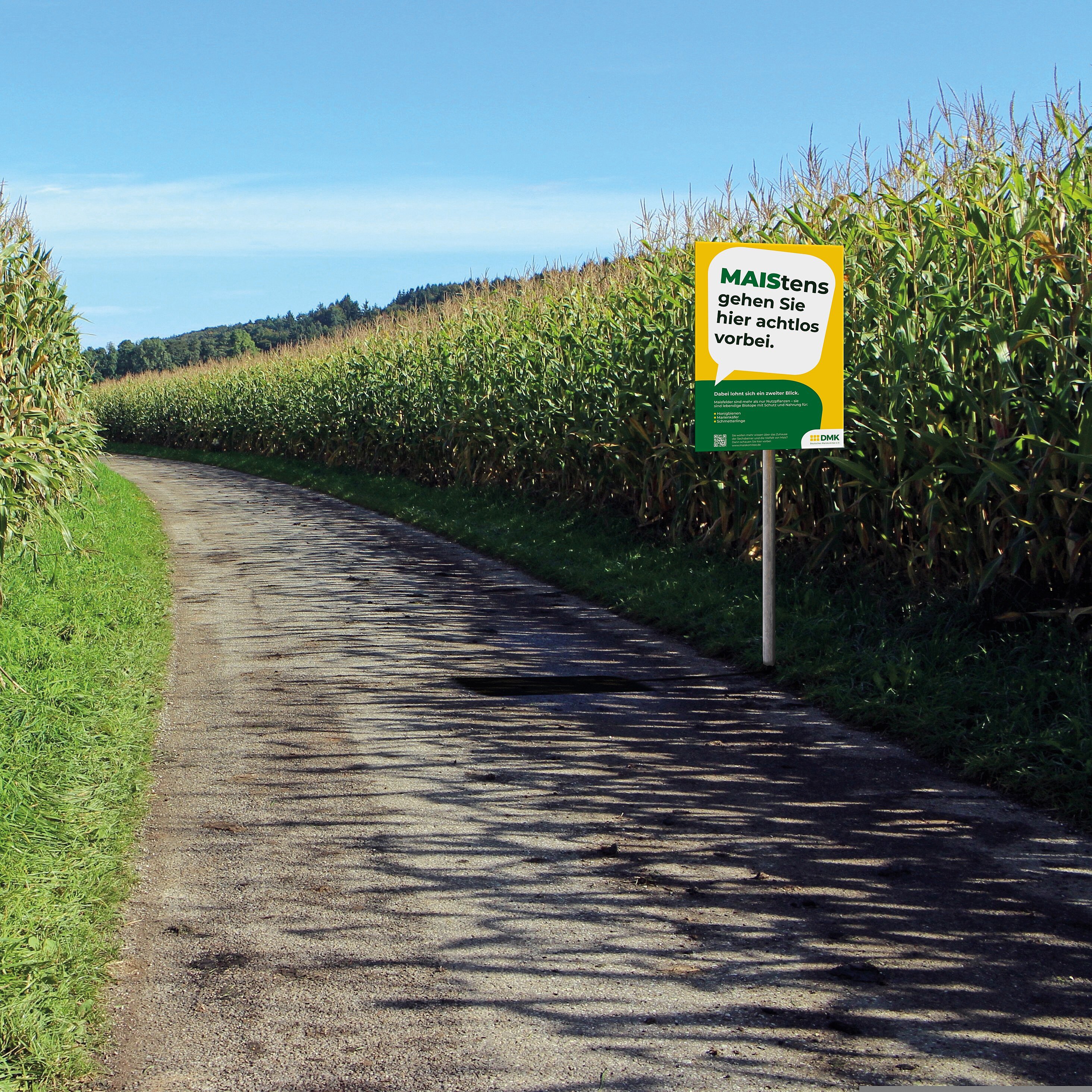 Feldrandschild